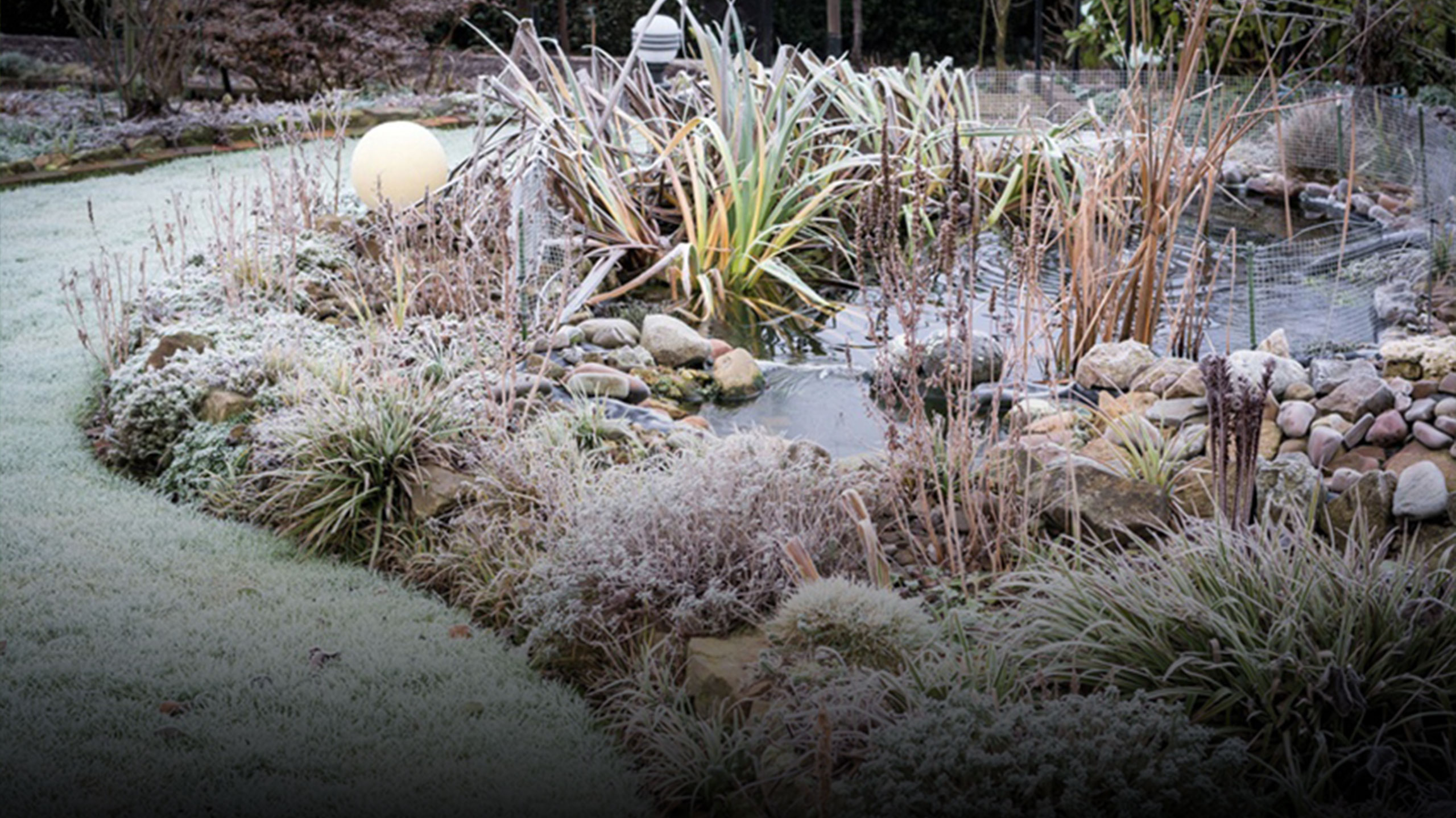 Den Garten winterfest machen « Frings Garten GmbH Gartenbau