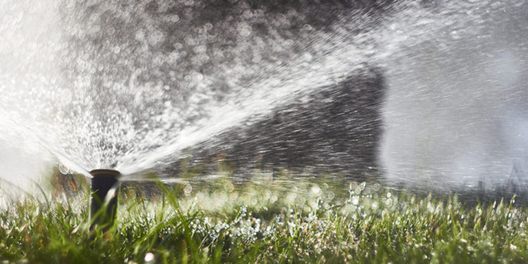 Frings_Galabau_Warendorf_Blog_einrichtung-von-automatischen-bewaesserungsanlagen