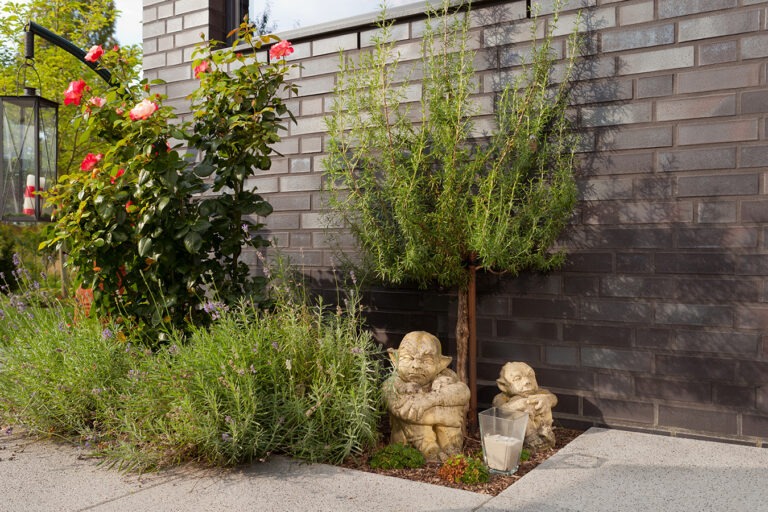 frings-gartengestaltung-warendorf-pflanzengestaltung