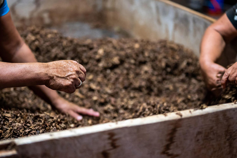 Frings_Galabau_Warendorf_Blog_Kompost-selber-herstellen