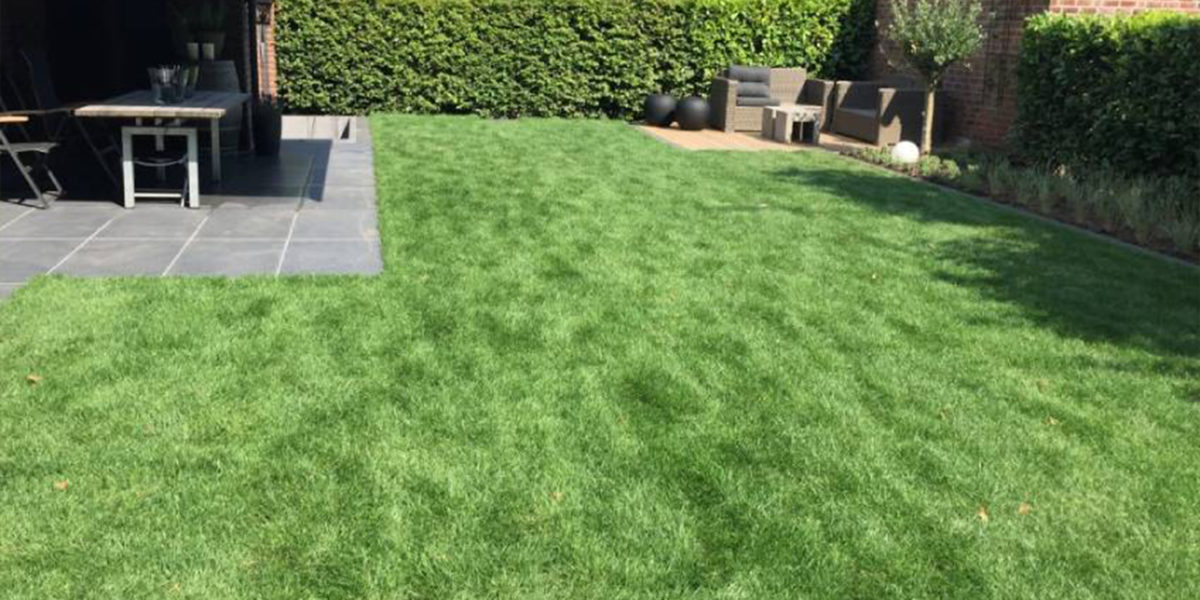 Rasenaussaat Welcher Rasen ist der Richtige? « Frings Garten GmbH