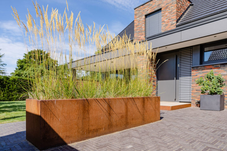 Frings_Galabau_Gartenpflege_kuebelpflanzen_1920x1280