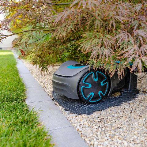 Frings_Galabau_Titelbild_Referenz_bauhaus_modern_maehroboter_ahorn