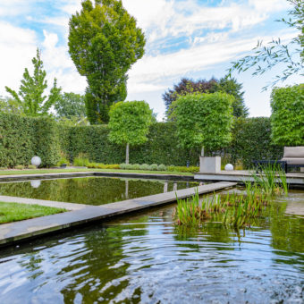 Frings_Galabau_Titelbild_Referenz_teich