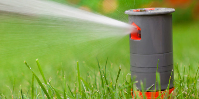 Frings_Galabau_Warendorf_Blog_Garten-fit-fuer-den-Sommer