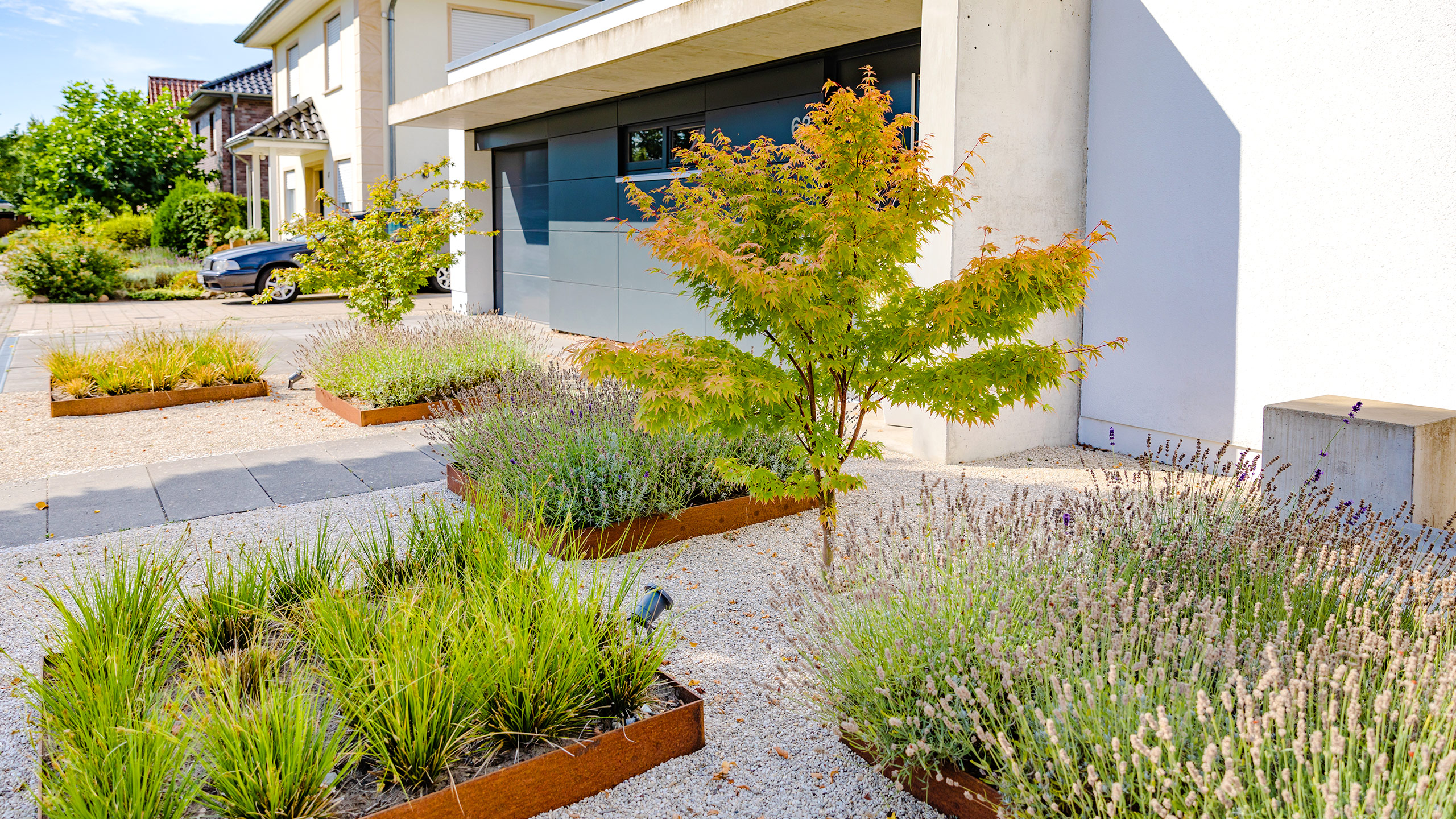 Garten im Herbst 5 Gestaltungsideen « Frings Garten GmbH Gartenbau