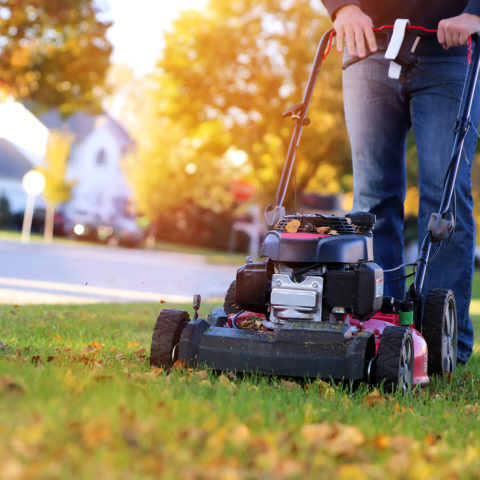 Frings_Galabau_rasen_maehen_warendorf_1920x1280