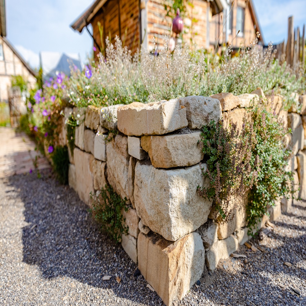 Naturgarten anlegen Die wichtigsten Informationen « Frings Garten