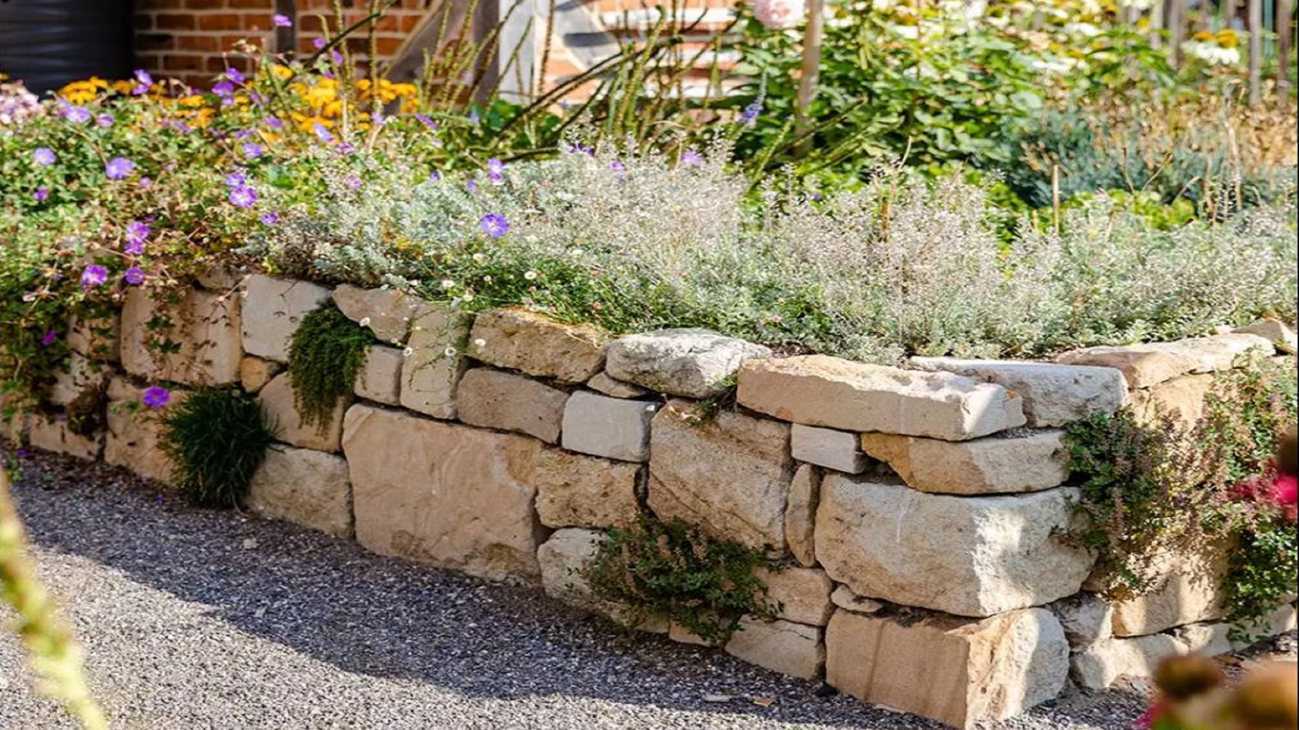 Hochbeet aus einer Natursteinmauer « Frings Garten GmbH Gartenbau