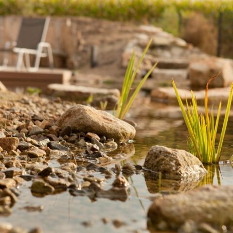 frings_gartenbau_blog_kräuterspirale_option_teich (2)