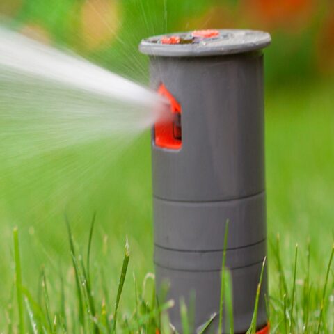 frings_galabau_blog_gartentechnik_warten_10
