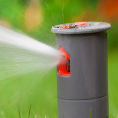 frings_galabau_blog_gartentechnik_warten_10