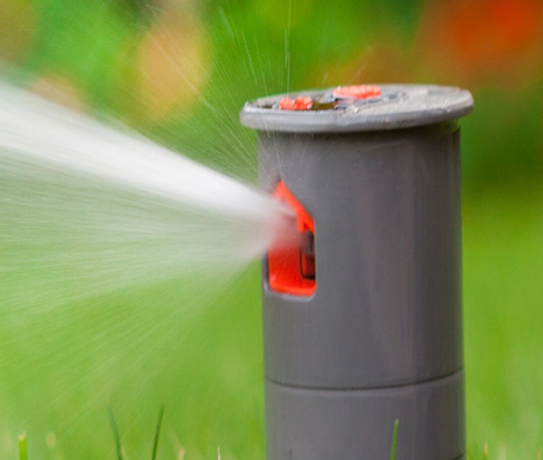 frings_galabau_blog_gartentechnik_warten_10