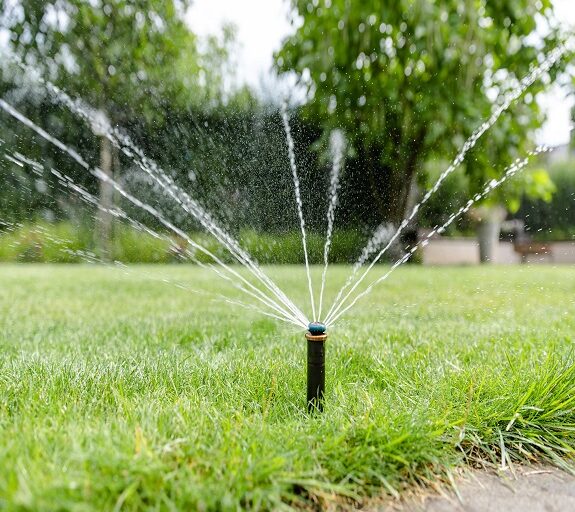 Frings_Galabau_warendorf_blogbeitrag_gemüsegarten_bewässerung