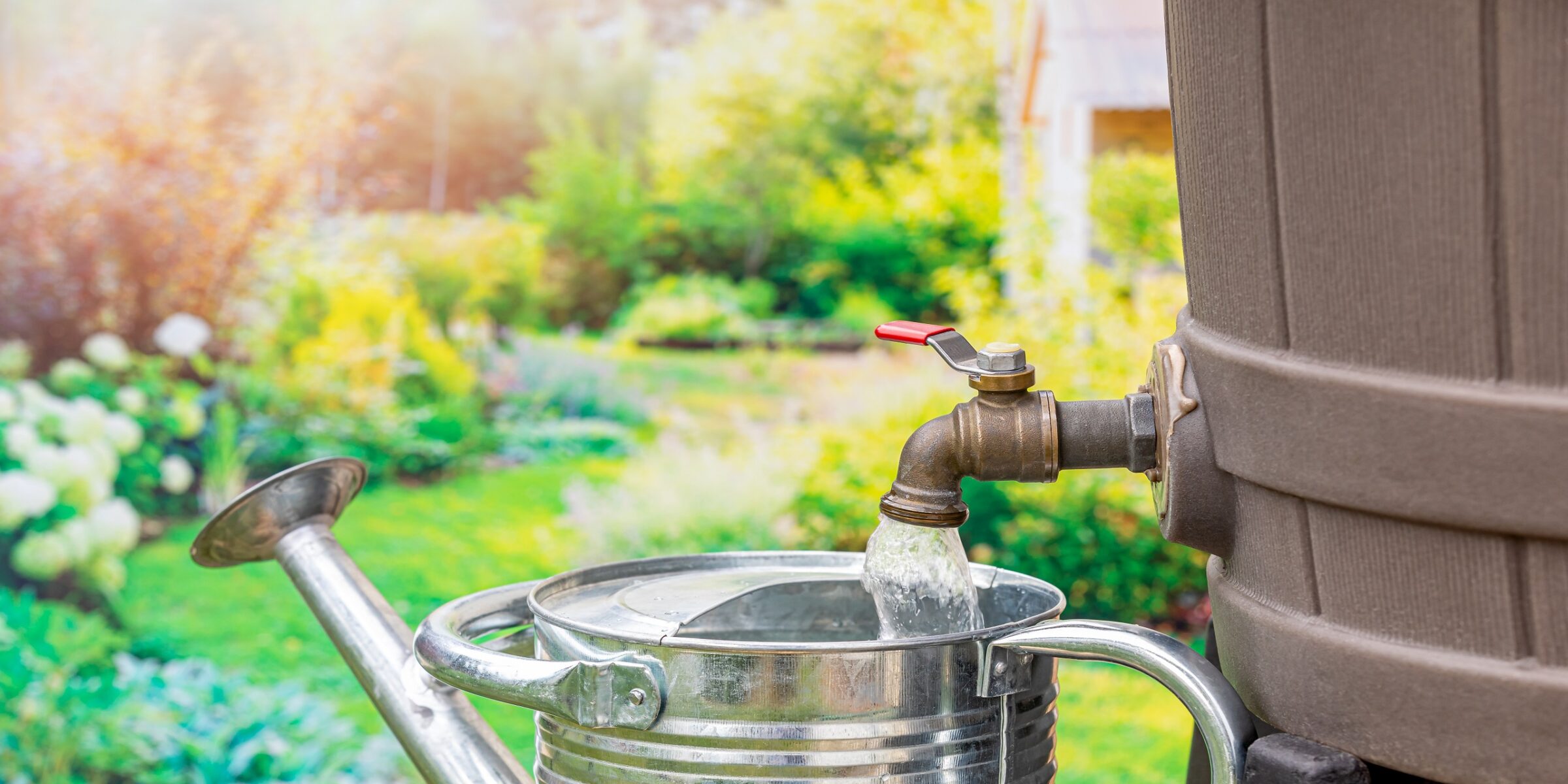 galabau_frings_warendorf_blogbeitrag_regenwassernutzung