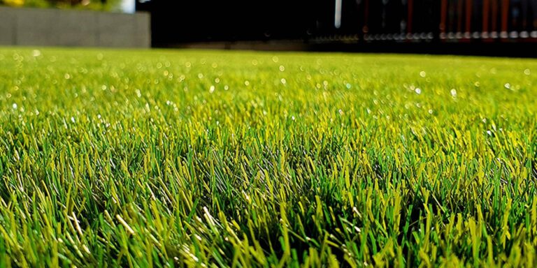 frings_galabau_warendorf_blog_rasenpflege im sommer