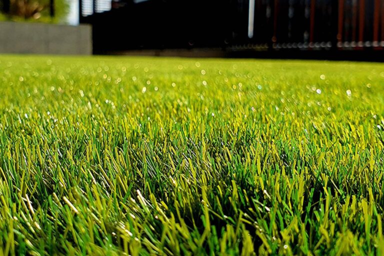 frings_galabau_warendorf_blog_rasenpflege im sommer