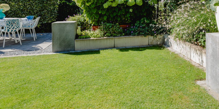 galabau_frings_warendorf_blog_rasenpflege
