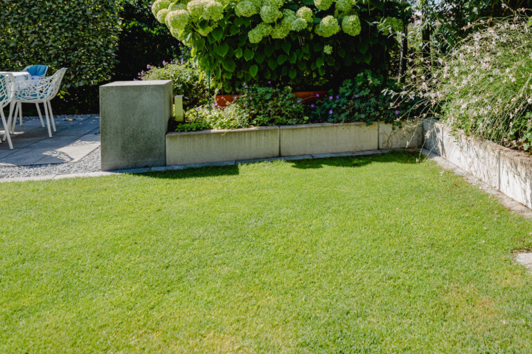 galabau_frings_warendorf_blog_rasenpflege