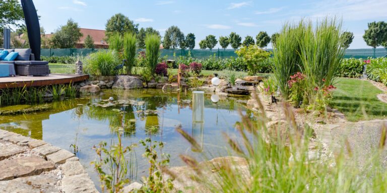 galabau_frings_warendorf_blog_naturgarten_als_lebensraum