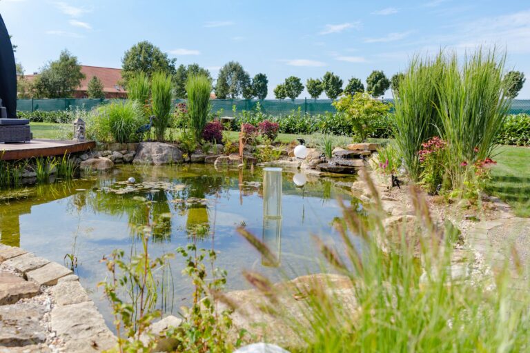 galabau_frings_warendorf_blog_naturgarten_als_lebensraum